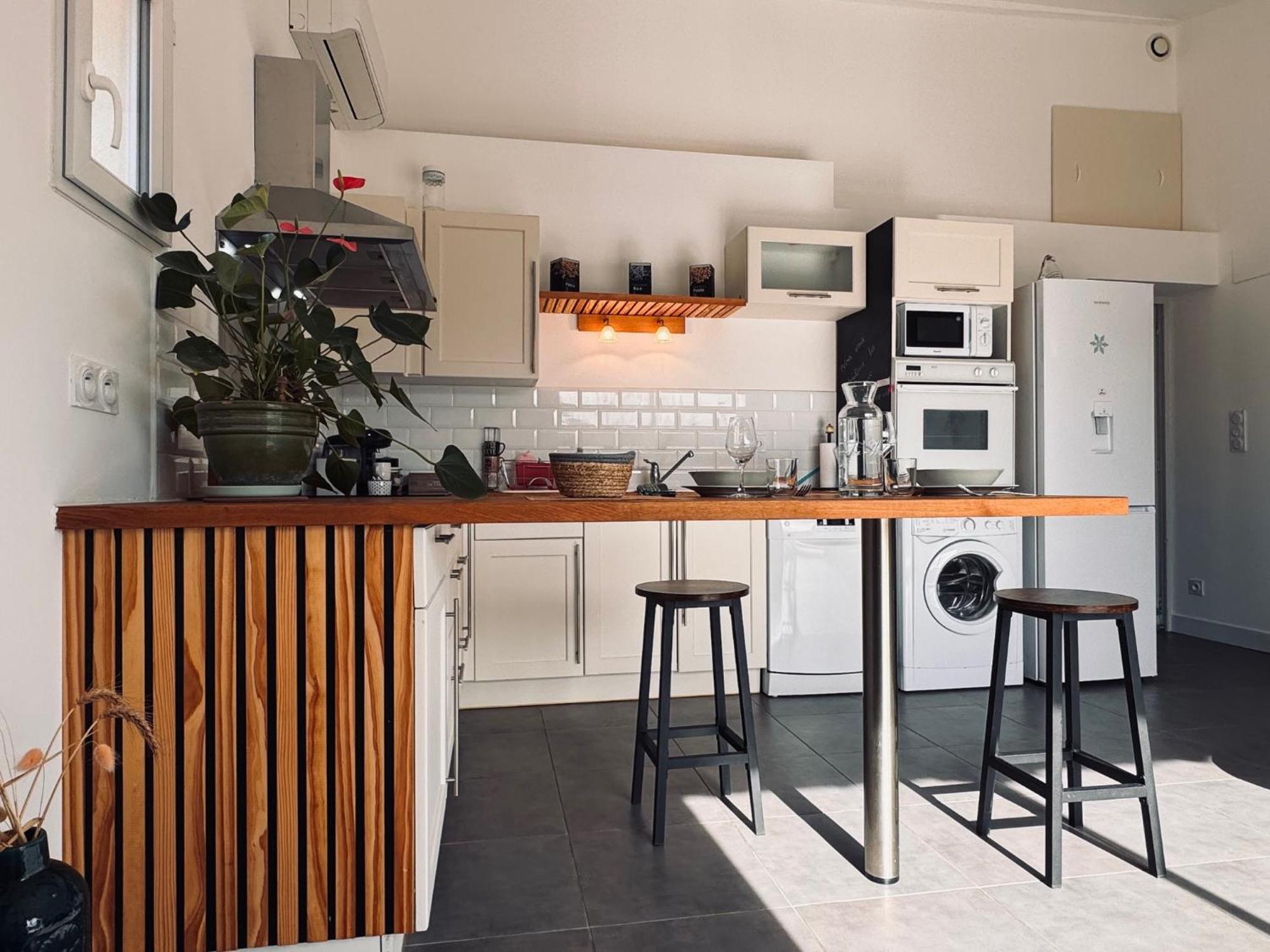 Appartement Le Cosy De La Ramee Tournefeuille Extérieur photo